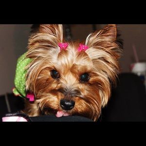 Meet your Posher, Christy